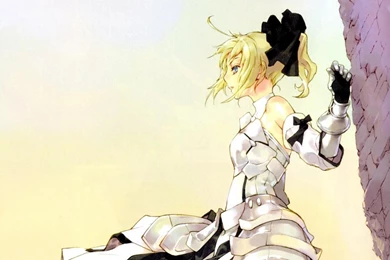 Saber Lily   (