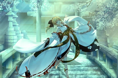 Saber Lily Wallpapers   Wallpapers Cave