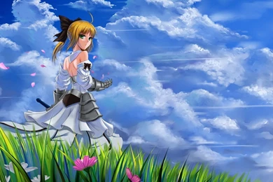 Saber Lily Wallpapers   Wallpapers Cave