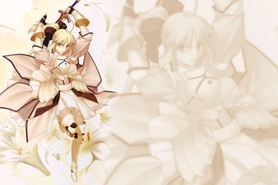 Saber Lily   Fate stay Night Wallpapers For 720x1280 Resolution ...