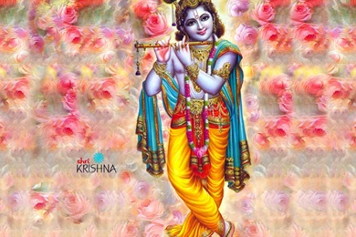 FREE Download Lord Krishna Wallpapers