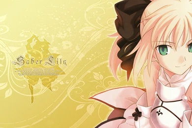 Fate Unlimited Codes Fate Series Saber Saber Lily Wallpapers ...