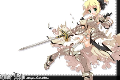 Fate Unlimited Codes Fate Series Saber Saber Lily Wallpapers ...