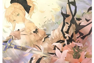 Anime,Fate Unlimited Codes Fate Unlimited Codes Anime Saber Anime ...