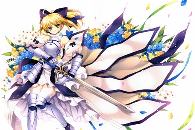 Eternal Phantasia Fate Stay Night Fate Unlimited Codes Saber Saber ...