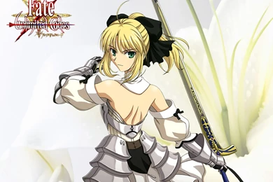 Saber Lily   Fate Stay Night Wallpapers (11573057)   Fanpop