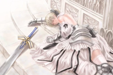 Fatestay Night Flowers Fate Unlimited Codes Saber Saber Lily ...