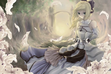 779 Fate/Stay Night HD Wallpapers