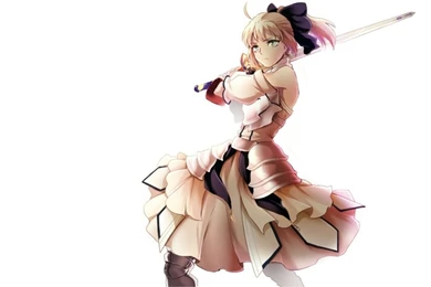 Fatestay Night Fate Unlimited Codes Saber Saber Lily Detached ...