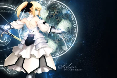 Fate Stay Night Unlimited Codes Saber Lily Detached