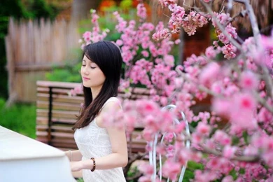 Asian Girl, Play Piano, Garden Flowers Wallpaper,Asian HD ...
