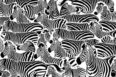 Buy Black And White Wallpapers Pattern And Black Wallpapers For Home ...