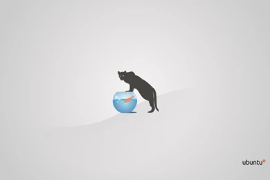 Narwhal Meet Ocelot' Wallpapers OMG! Ubuntu!