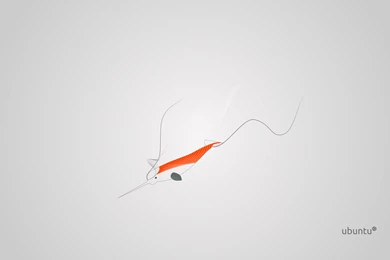 Abstract Linux Ubuntu Narwhal