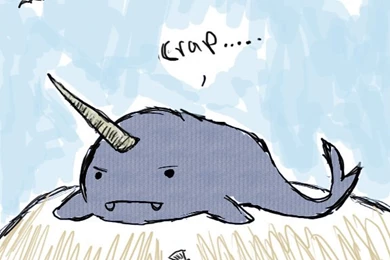 Cute Narwhal Drawing Related Keywords & Suggestions   Cute Narwhal ...