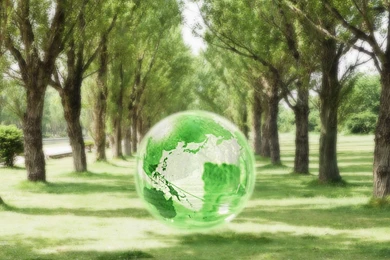 Eco Concept And Photo Manipulation Of Environment And Nature ...