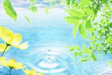 Environment, Urban, Naturaleza, Art, Environmental, 1920x1200 HD ...