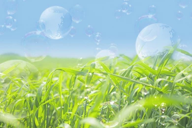 Natural Environment Images   HD Wallpapers Pretty