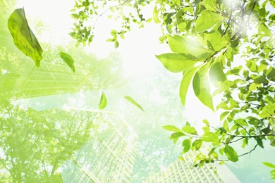 Eco Concept And Photo Manipulation Of Environment And Nature ...