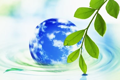 Eco Concept And Photo Manipulation Of Environment And Nature ...