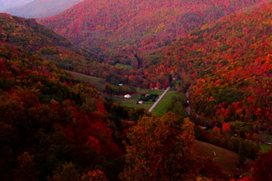 Beautiful Mountain SceneryiPhone Wallpapers