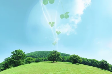 Eco Concept And Photo Manipulation Of Environment And Nature ...