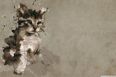 Cat Painting HD Desktop Wallpapers : Widescreen : High Definition ...