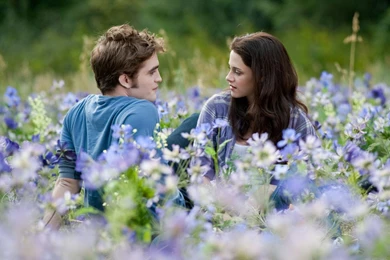 1920x1080 Swan, Bella, Cullen, Isabella, Twilight, Twilight ...