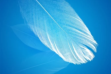 Lock Screen Wallpapers Android Free Download