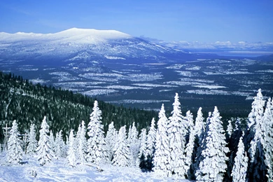 HD Wallpapers   Wallpapers   Free High definition Desktop Wallpapers ...