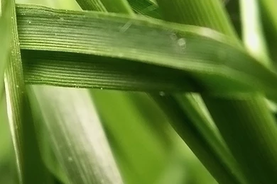 The Galaxy S III Wallpapers Blog