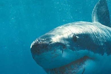 Lock Screen Wallpapers Android