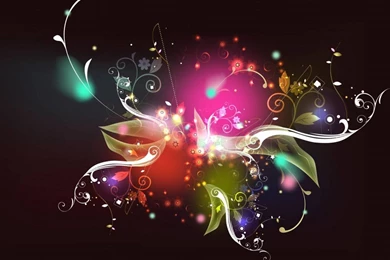 Flowers Colours Wallpapers   (