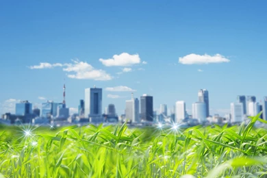 Photo Manipulation Of Eco City, Photo Manipulation Of Green ...