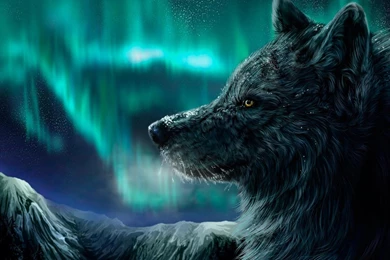 Wolf Wallpapers   Fancy Free   Android Apps And Tests   AndroidPIT