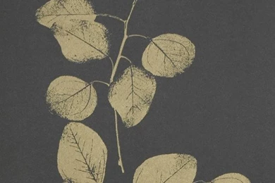 Spring / Summer 2011