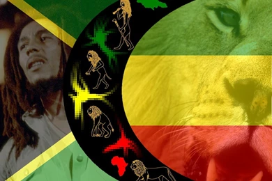 Rasta Lion Pictures   Desktop Backgrounds