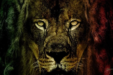 Rastafarian Wallpapers   Wallpapers Cave