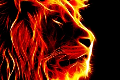 Wallpapers Rasta Fire Lion By Luks Social Ing 2560x1600