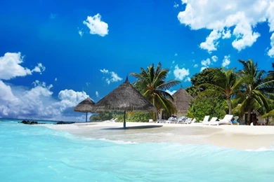 Beach Life Top Uhd Wallpapers   Top 4K UHD Wallpapers