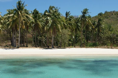 Beauty Queens By Libba Bray – Dear Reader