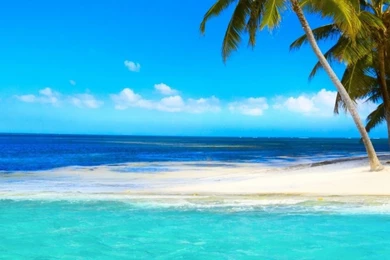 Palm Beach Corner HD Desktop Wallpapers : High Definition ...