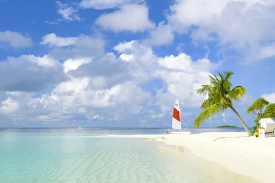 Download Wallpapers 2560x1024 Beach, Tropics, Sea, Sand, Palm Trees ...