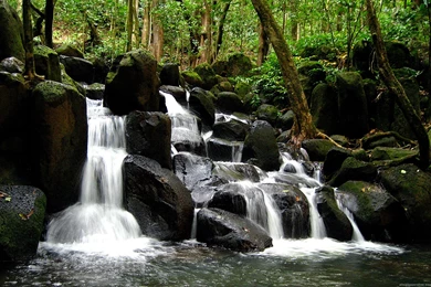 Waterfall, Background, Waterfalls, Forrest, Photo, Nature (