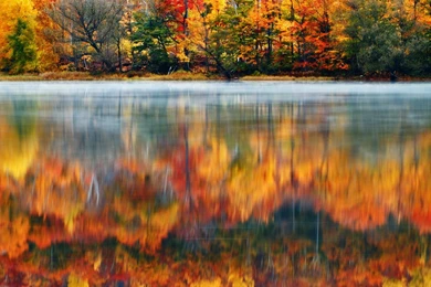 Autumn In Water Reflexion