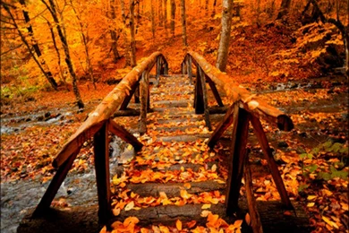 ★ Autumn ☆ Autumn Wallpapers (32361003) Fanpop