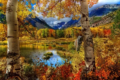 Autumn Mountain Wallpapers High Quality
