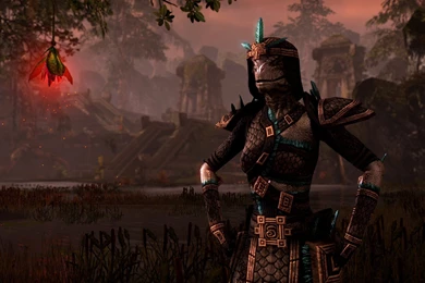 The Elder Scrolls Online Computer Wallpapers, Desktop Backgrounds ...