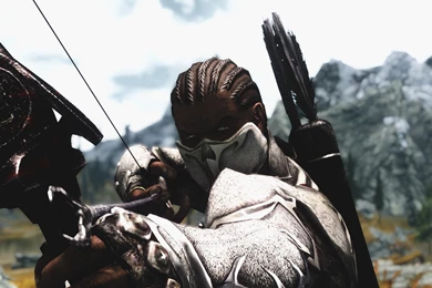 The Elder Scrolls V: Skyrim Computer Wallpapers, Desktop ...