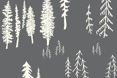 Bonnie Christine Removable Wallpapers & Wall Decals